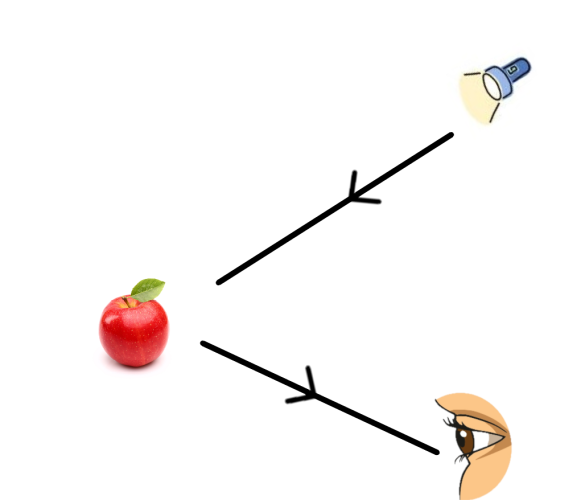 how we see apple torch